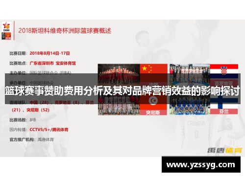 篮球赛事赞助费用分析及其对品牌营销效益的影响探讨