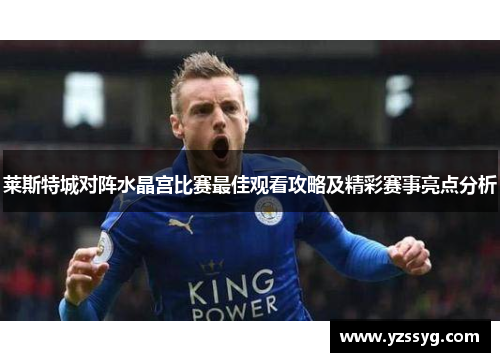 莱斯特城对阵水晶宫比赛最佳观看攻略及精彩赛事亮点分析