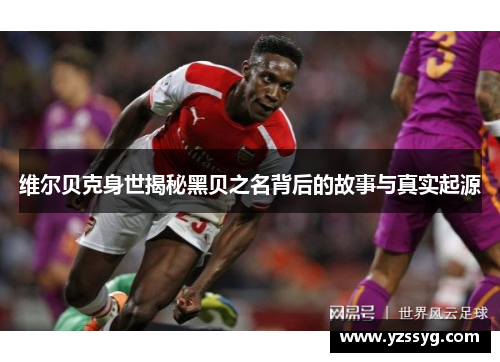 维尔贝克身世揭秘黑贝之名背后的故事与真实起源